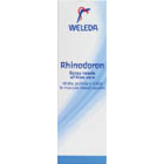 RHINODORON SPRAY NASALE ALL\'ALOE VERA