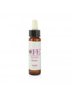 GORSE 10 ML Fiore di Bach CFE CEMON