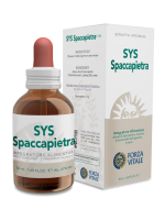 SYS SPACCAPIETRA