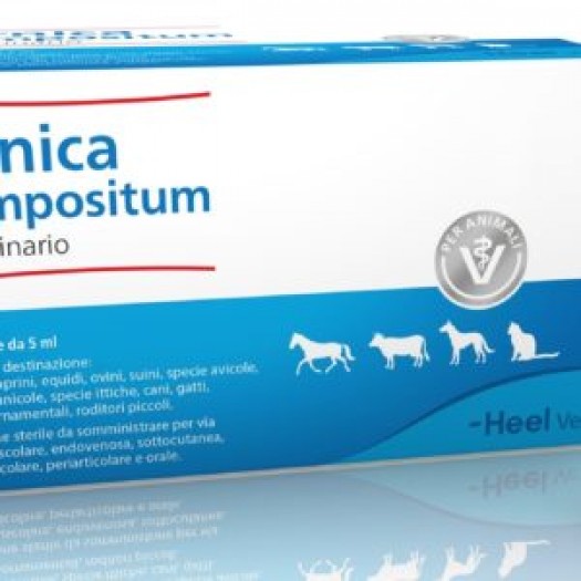 Arnica Compositum Heel VETERINARIO 50 Fiale