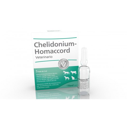 CHELIDONIUM-HOMACCORD FIALE USO VETERINARIO