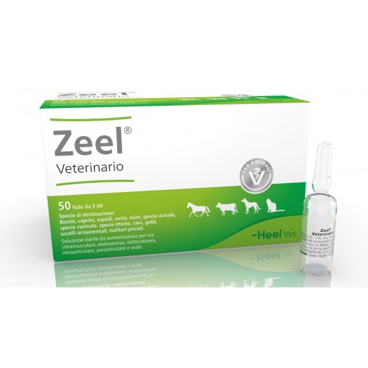 ZEEL T VETERINARIO 50 FIALE 5ML HEEL