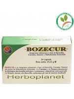 BOZECUR 24 COMPRESSE – HERBOPLANET