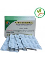 GYMNESOL 48 COMPRESSE – HERBOPLANET