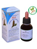 MSA ABIES PECTINATA 50ML – gemme (Abete Bianco) – HERBOPLANET