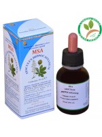 MSA AESCULUS HIPPOCASTANUM 50ML – gemme (Ippocastano) – HERBOPLANET