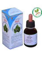 MSA AMPELOPSIS WEITC 50ML – giovani getti (Edera Del Giappone) – HERBOPLANET