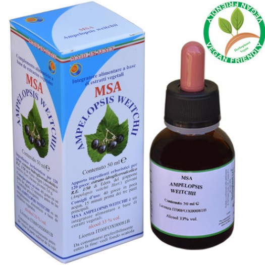 MSA AMPELOPSIS WEITC 50ML – giovani getti (Edera Del Giappone) – HERBOPLANET