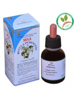 MSA BETULA PUBESCENS 50ML – gemme (Betulla Tomentosa) – HERBOPLANET