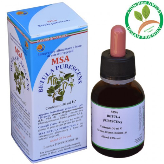 MSA BETULA PUBESCENS 50ML – gemme (Betulla Tomentosa) – HERBOPLANET