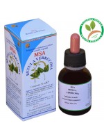 MSA BETULA VERRUCOSA 50ML – gemme (Betulla Bianca) – HERBOPLANET