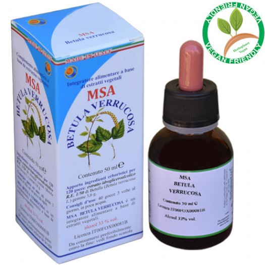 MSA BETULA VERRUCOSA 50ML – gemme (Betulla Bianca) – HERBOPLANET