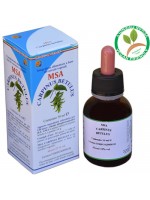 MSA CARPINUS BETULUS 50ML – HERBOPLANET