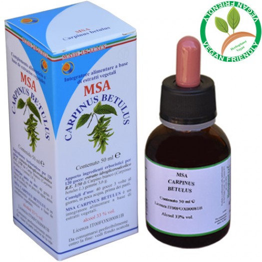 MSA CARPINUS BETULUS 50ML – HERBOPLANET