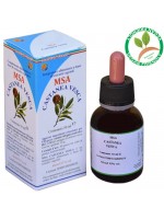 MSA CASTANEA VESCA 50ML – gemme (Castagno) – HERBOPLANET