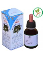 MSA CEDRUS LIBANI 50ML – giovani getti (Cedro del Libano) – HERBOPLANET