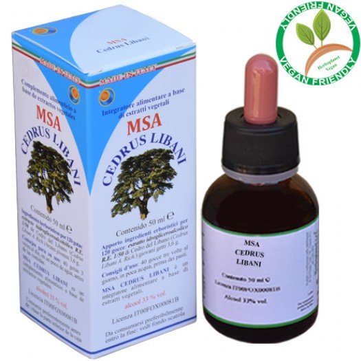 MSA CEDRUS LIBANI 50ML – giovani getti (Cedro del Libano) – HERBOPLANET