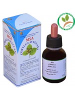 MSA CORYLUS AVELLANA 50ML – gemme (Nocciolo) – HERBOPLANET