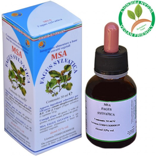 MSA FAGUS SYLVATICA 50ML – gemme (Faggio) – HERBOPLANET