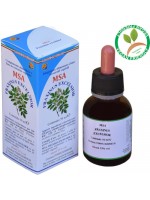 MSA FRAXINUS EXCELS 50ML – gemme (Frassino) – HERBOPLANET