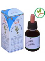 MSA JUNIPERUS COMMUN 50ML – giovani getti (Ginepro) – HERBOPLANET