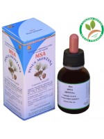 MSA PINUS MONTANA 50ML – gemme (Pino montano) – HERBOPLANET