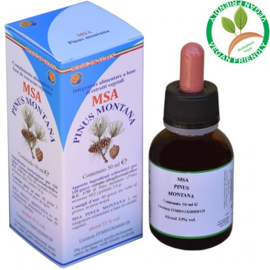 MSA PINUS MONTANA 50ML – gemme (Pino montano) – HERBOPLANET