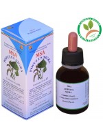 MSA POPULUS NIGRA 50ML – gemme (Pioppo nero) – HERBOPLANET