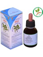 MSA QUERCUS PEDUNCOLATA 50ML – gemme (Quercia o Farnia)– HERBOPLANET