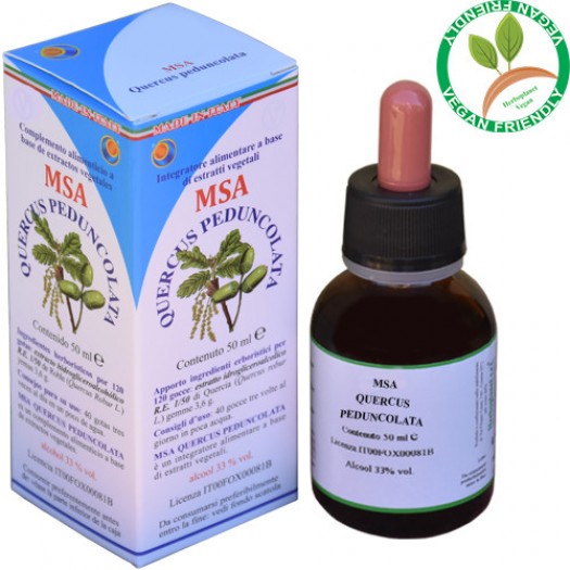 MSA QUERCUS PEDUNCOLATA 50ML – gemme (Quercia o Farnia)– HERBOPLANET