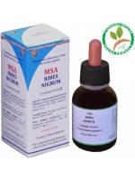 MSA RIBES NIGRUM 50ML – gemme (Ribes nero) – HERBOPLANET