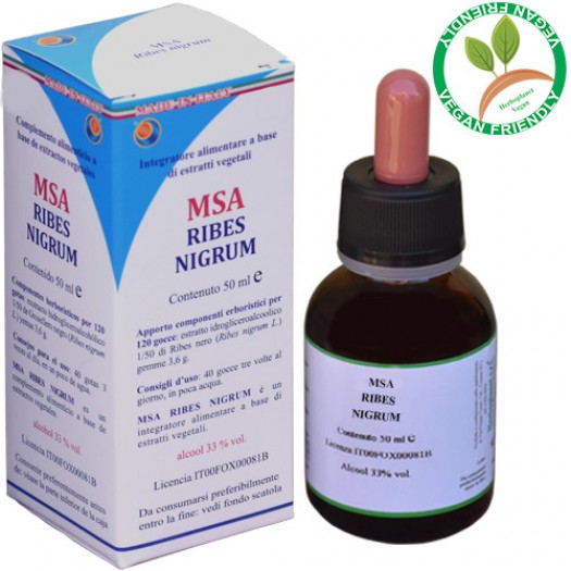 MSA RIBES NIGRUM 50ML – gemme (Ribes nero) – HERBOPLANET