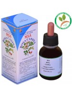 MSA ROSA CANINA – giovani getti (Rosa di macchia) 50ML – HERBOPLANET