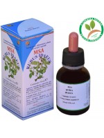 MSA RUBUS IDAEUS 50ML – giovani getti (Lampone) – HERBOPLANET