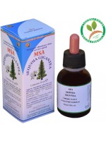 MSA SEQUOIA GIGANTEA 50ML – giovani getti (Sequoia) - HERBOPLANET