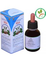 MSA SORBUS DOMESTICA 50ML – gemme (Sorbo) – HERBOPLANET