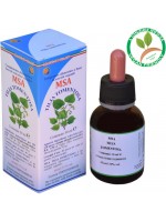 MSA TILIA TOMENTOSA 50ML – gemme (Tiglio argentato) – HERBOPLANET