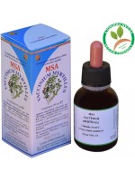 MSA VACCINIUM MYRTIL 50ML – giovani getti (Mirtillo nero) – HERBOPLANET