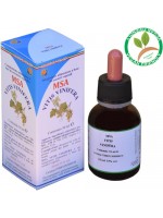 MSA VITIS VINIFERA 50ML – gemme (Vite) – HERBOPLANET