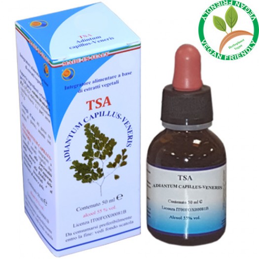 TSA ADIANTUM CAPILLUS 50ML – parti aeree (Capelvenere) – HERBOPLANET