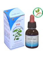 TSA ALCHEMILLA VULGARIS 50ML – HERBOPLANET