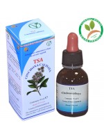 TSA CINCHONA CALISAYA 50ML – corteccia (China) – HERBOPLANET