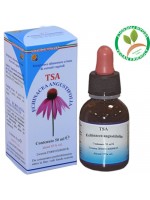 TSA ECHINACEA ANGUSTIFOLIA – sommità (Echinacea) – HERBOPLANET