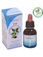 TSA ELEUTHEROCOCCUS SENTICOSUS – radice (Eleuterococco, Ginseng siberiano) – HERBOPLANET