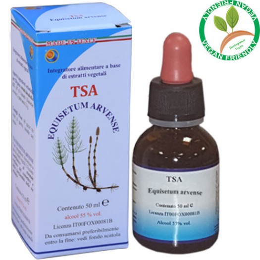 TSA EQUISETUM ARVENSE 50ML – sommità (Equiseto, Coda Cavallina, Setolone) – HERBOPLANET