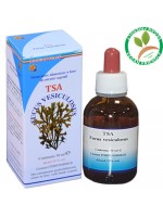 TSA FUCUS VESICULOS 50ML – tallo (Quercia Marina) – HERBOPLANET