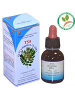 TSA GLYCYRRHIZA GLABRA – radice (Liquirizia) – HERBOPLANET