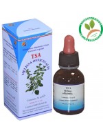 TSA MELISSA OFFICINALIS 50ML – foglie (Melissa, Cedronella) – HERBOPLANET