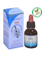 TSA ORTHOSIPHON STAMINEUS 50ML – HERBOPLANET