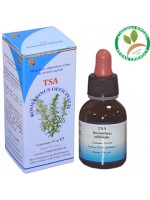 TSA ROSMARINUS OFFICINALIS 50ML  – HERBOPLANET